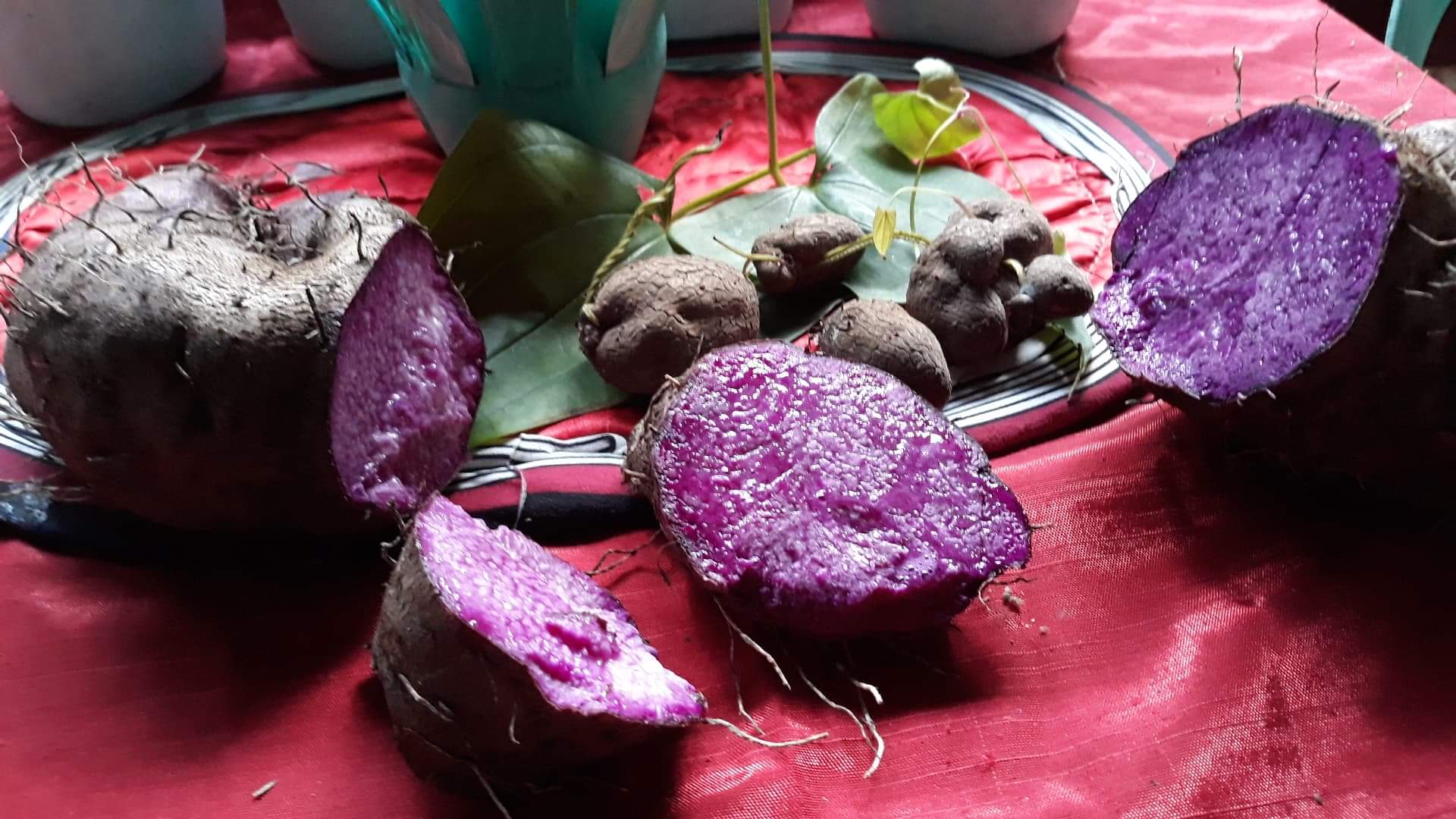 Auro 32% Weisse Schokolade Ube Coco – Bild 3