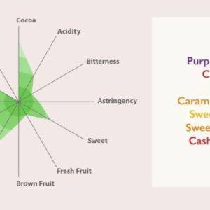 Auro Mana - tasting diagram