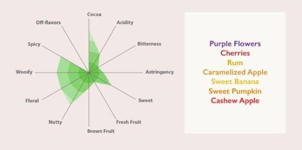 Auro Mana - tasting diagram