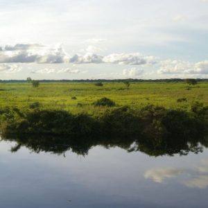 Beni Bolivia - llanos - Comons Wikimedia