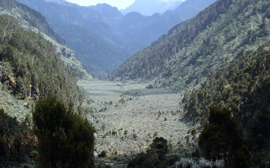 Blanxart Congo - Mountains of the Moon - Virunga - Ruwenzori