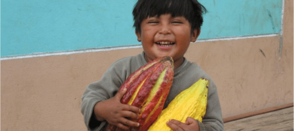 Cacao Growers Son, Piura (Custom)