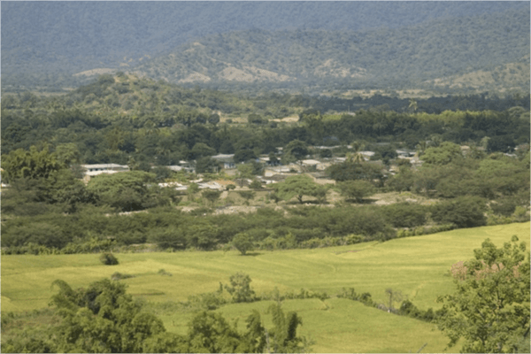 Original Beans Piura - landscape