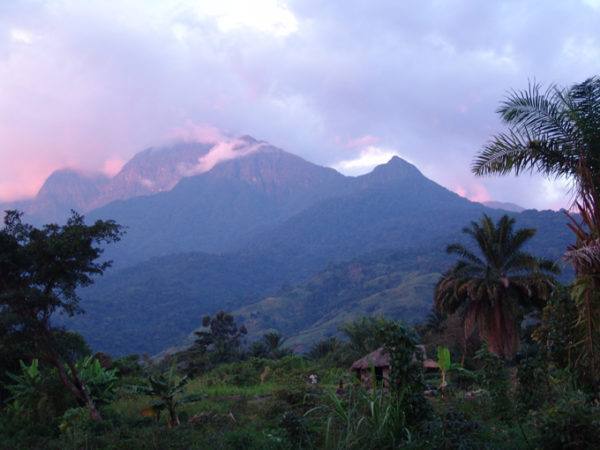 Original Beans Virunga - 4