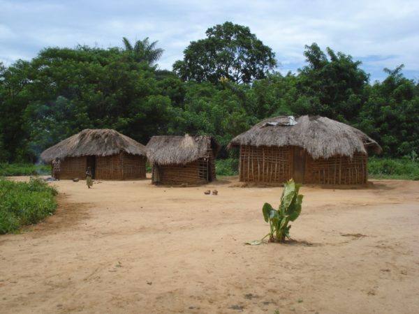 Original Beans Virunga - village