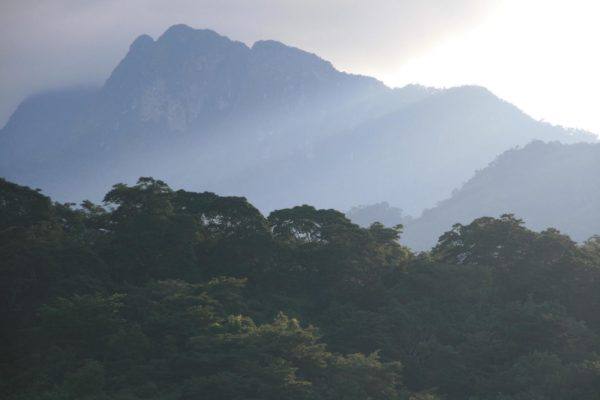 Udzungwa Mountains - Marc Veraart Commons Wikimedia