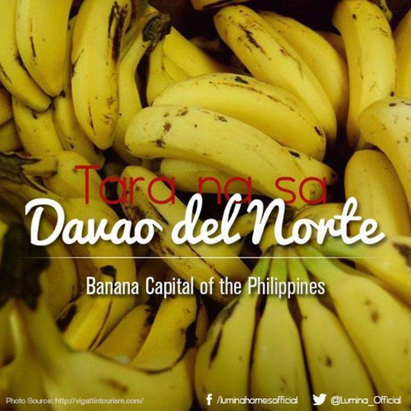Auro Banana chips -banana Davao