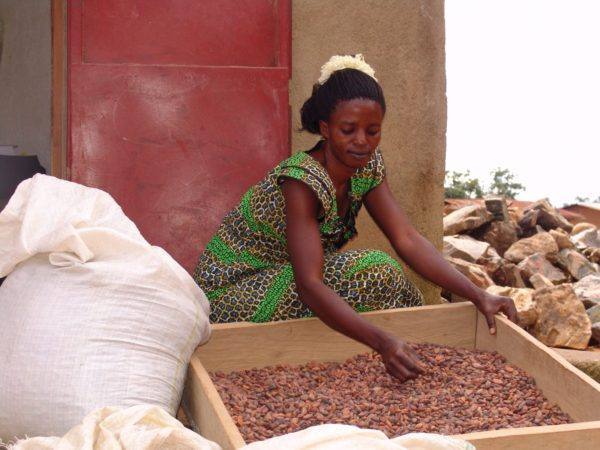 Original Beans Virunga - Kavira Sugusu Janne, Cacao Storekeeper @Oicha, grading beans