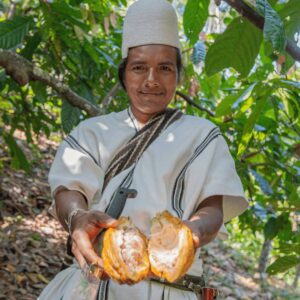 arhuaco original beans clearchox