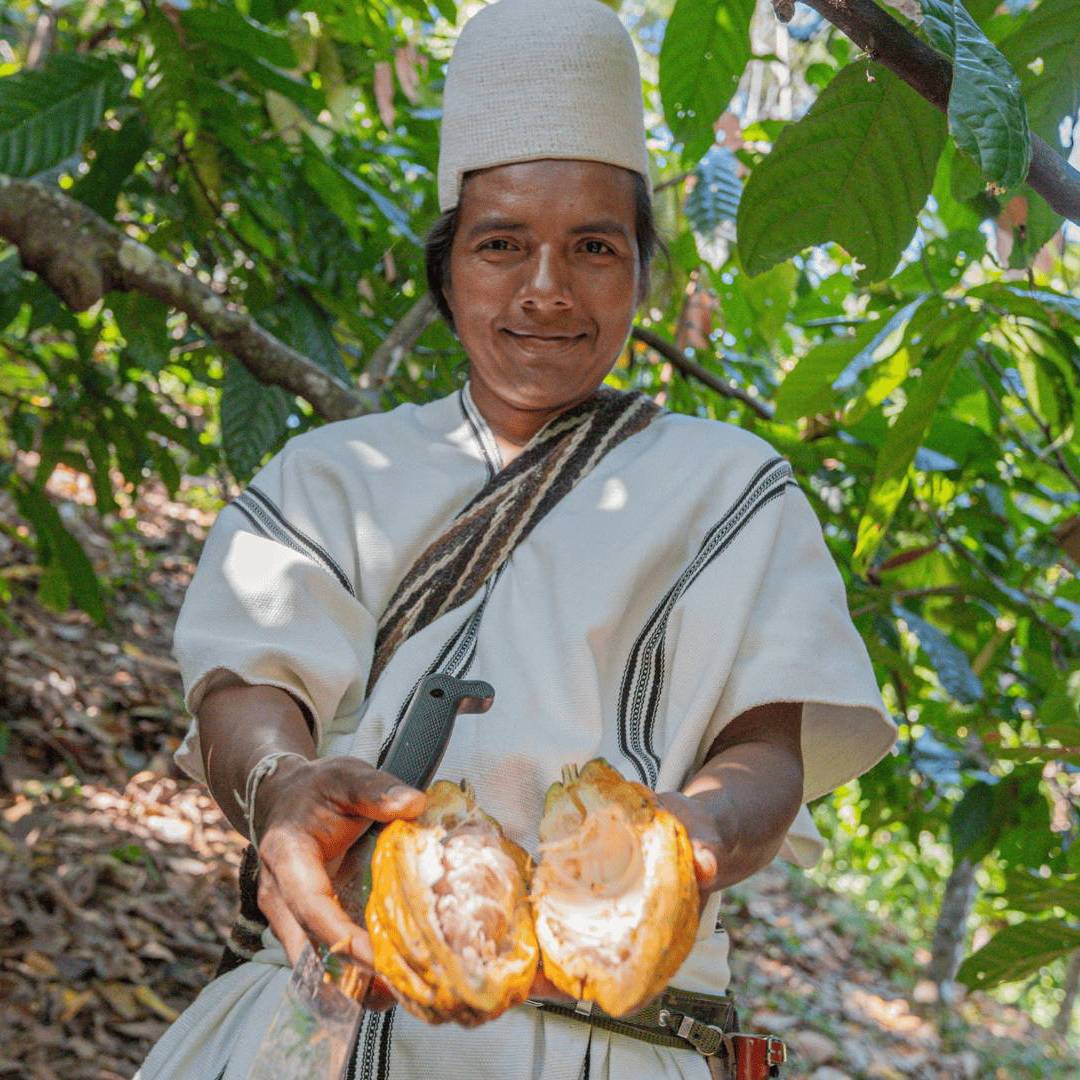 arhuaco original beans clearchox